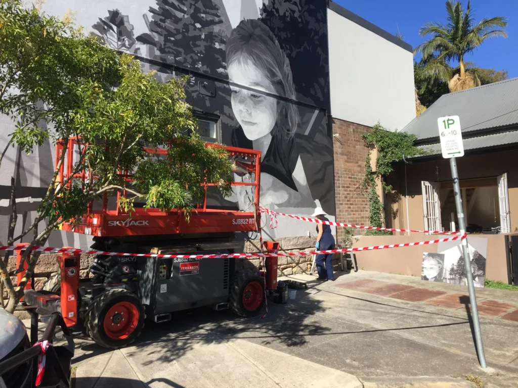 Mural on a renovation in Newtown by Canstruct Builders.